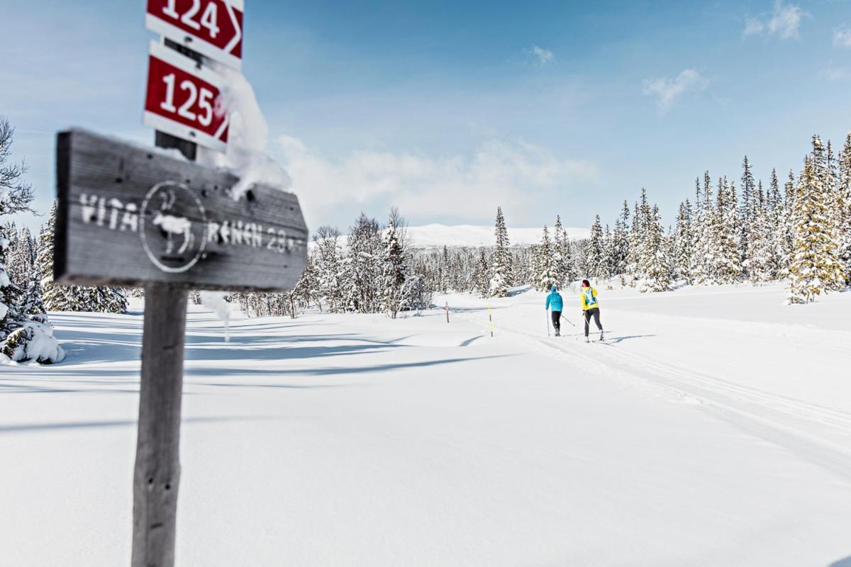 Koeja Fjaellhotell Edsasdalen Esterno foto
