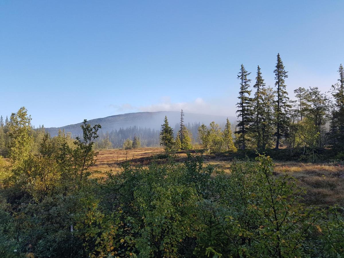 Koeja Fjaellhotell Edsasdalen Esterno foto
